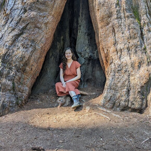 Meet your Posher, Madison - Picture 1 of 2